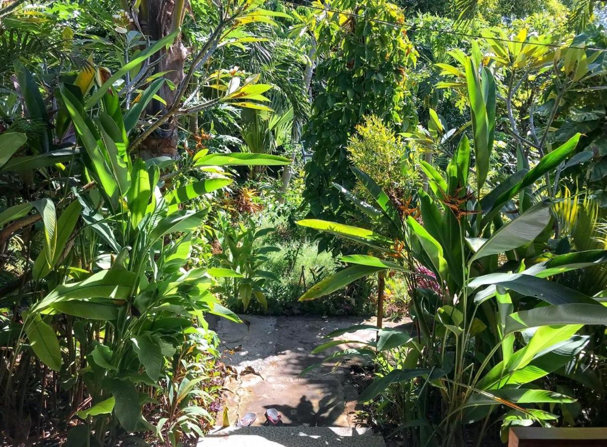 Enak Bungalow Amed  Ngoại thất bức ảnh