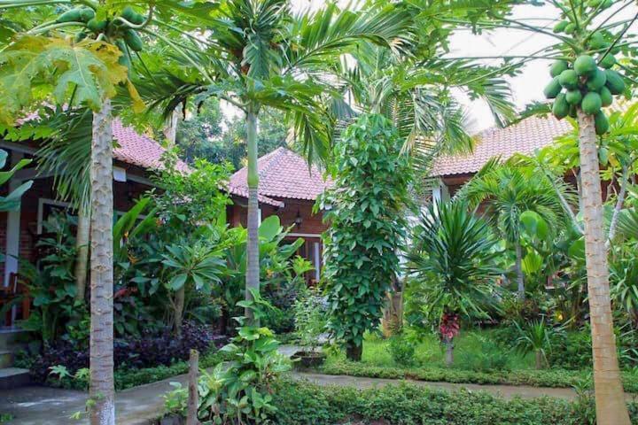 Enak Bungalow Amed  Ngoại thất bức ảnh